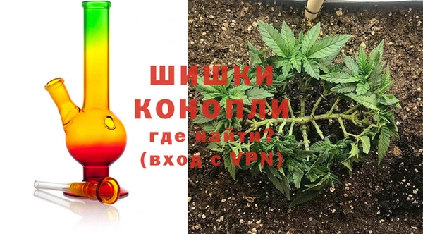 эйфоретик Арсеньев