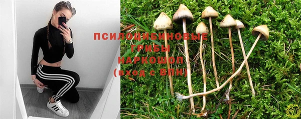 шишки Алексеевка