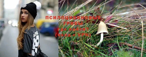 эйфоретик Арсеньев
