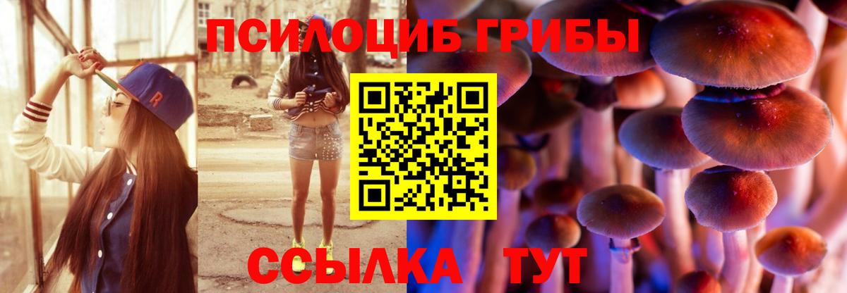 Псилоцибиновые грибы мухоморы Нефтекумск